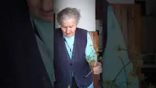 Drenek
