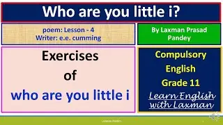 Who are you little i?:  Exercises (compulsory English grade 11)