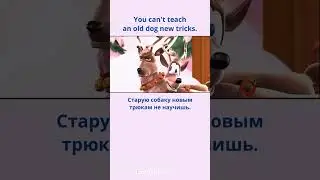 You can't teach an old dog new tricks. - Старую собаку новым трюкам не научишь.