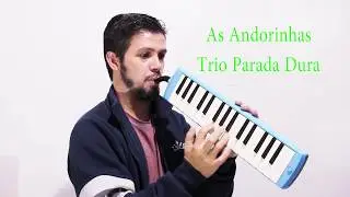 S970 YAMAHA -  Medley Sertanejo (Escaleta)