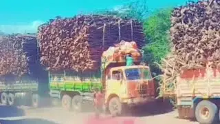 CAMION FIAT N-683 loaded with trees made by the Italian 🇮🇹1980 working in #Somalia🇸🇴🇸🇴