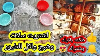يوميات السطح اشتريت حلات اسلال للطيور واكل للطيور وجب شبج مال محميه 🇮🇶 🌹