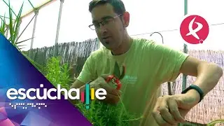 Plena Inclusión Montijo nos muestra cómo se trabaja en comunidad usando la jardinería | Escúchame