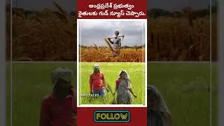 Andhra Pradesh farmers Good news #andhrapradesh #tdp #tdpnews #janasena #agriculture