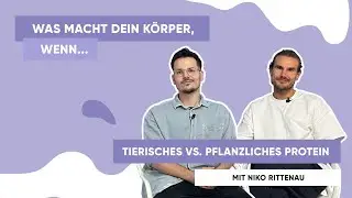 Tierisches vs. pflanzliches Protein | Was macht dein Körper, wenn...? | vly x Niko Rittenau