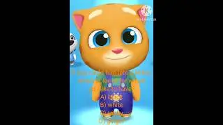 Talking Ginger Chat Game & Talking Tom Gold Run