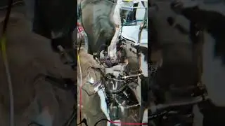 ketchup Sachet Packing Machine