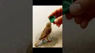 #khidmatekhalq