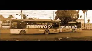 Ruta 68 Santa Isabel #3281 / Ruta 223 Las Torres #0145 / Ruta 223 Huertos #0323