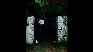 Klusek-Parę zdań