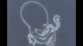 Sigur Ros - Svefn-g-englar subtitulos español