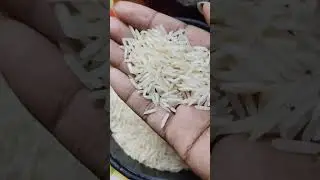 LONG GRAIN BASMATI RICE EATING RAW RICE 🍚🌾🍚 #basmatirawriceeating #mukbangbasmatibaru #rice