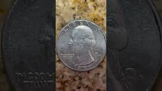 #DreamTrackAI 1981 D WASHINGTON QUARTER - DENVER MINT - HEADS AND TAILS