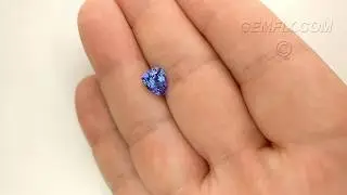 tanzanite 32 612 VD