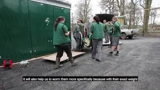 Exclusive behind the scenes look at our Tiger Move