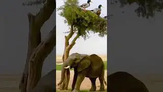 Unbelievable! 🦆 Duck Stuck in Tree vs Elephant Shake 🐘 #shorts #FunnyAnimals #WildLife #Elephant