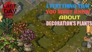 HOW TO FIND PLANTS FOR DECORATION | LAST DAY ON EARTH