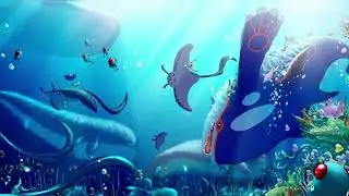 Oceanic Museum - Pokemon Ruby/Sapphire Music