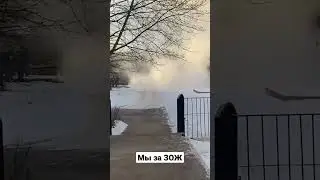 🎥: МФК &laquo;ВГиК&raquo; #мфк #вгик #калуга