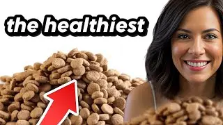 How Purina Pro Plan UR Dry Food Supports Urinary Health 2024
