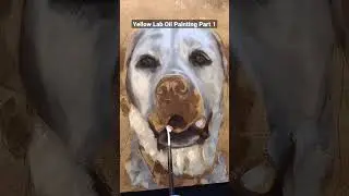 Yellow Lab Oil Painting Part 1🎨🐕