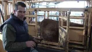Джейсон Клир &mdash; Брендинг &mdash; Подготовка к брендингу