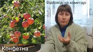 Відповіді на коментарі! 
