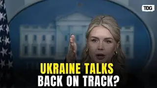 Белый дом сигнализирует о скором начале новых переговоров с Украиной | The Daily Guardian