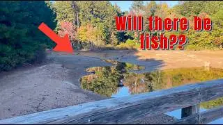 Bass Fishing in a DRIED-UP Lake?!