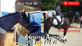 Our dressage journey...part 1
