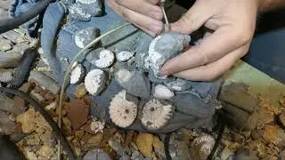 Preparing jurassic fossil ammonites from Buttenheim