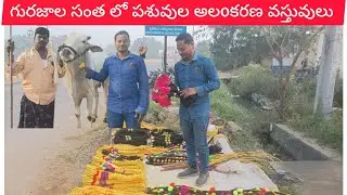 #Cattle_market_in_Ap #గురజాలసంత #gurazala_santa 24/12/2025