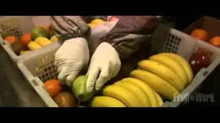 Fruit at Work