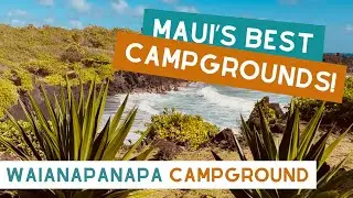 Waianapanapa Camp Ground | Easy Camping Maui | Hawaii
