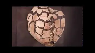 London Elektricity - Fault Lines ft. Elsa Esmeralda (OFFICIAL VIDEO)