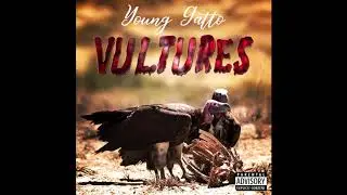 Young Gatto - Vultures (official Audio)