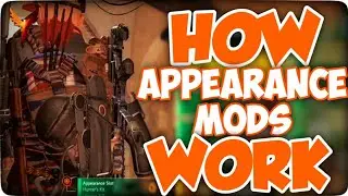 Division 2 - APPEARANCE MODS (How They Work)