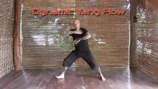 Dynamic Flow Qigong with Simon Calder
