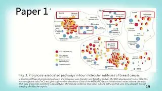 20260107 [林澤幃] Multi Omics Data Fusion and Pathway Enrichment in Cancer A Systems Biology Analysis..