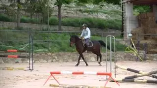 Cardento I x Indret del Maset  x Landfriese