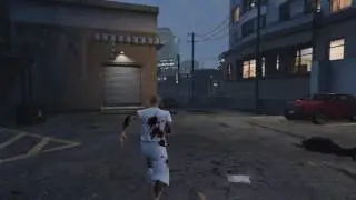 DUKE VS LSPD