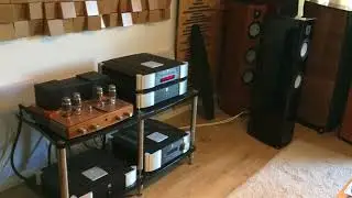 רמקולים רצפתיים מעוצבים , GAUDER AKUSTIK ( Isophone) ARCONA 80