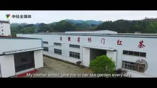 Qimen Black Tea 祁门红茶