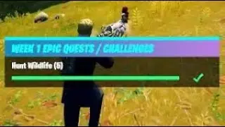 Fortnite - Epic Quest - Hunt Wildlife (Season 6 Chapter 2)