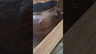 #Blender
