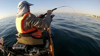 2 SERVIOLITAS EN KAYAK