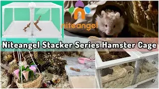 Ep.1 Niteangel Stacker Series Hamster Cage - New Hamster