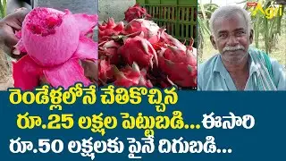 Dragon Fruit Farming in Telugu | రెండేళ్లలోనే చేతికొచ్చిన రూ.25 పెట్టుబడి..! Tone Agri