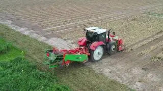 1 september 2021; Uien rooien op Harrysfarm