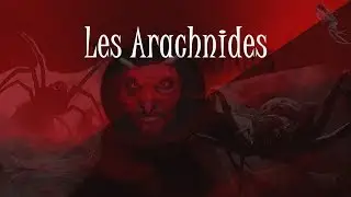 LES ARACHNIDES